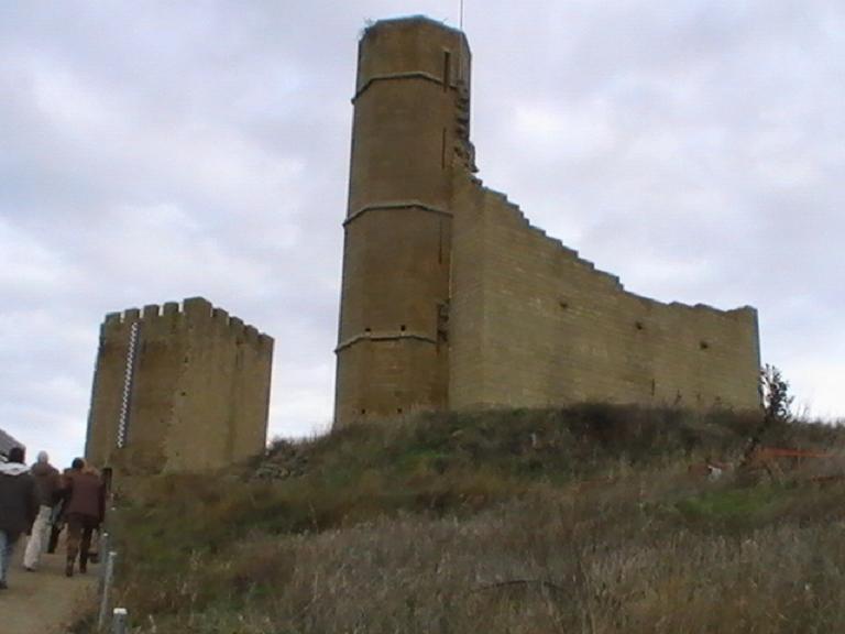 Castillo de Sos del Rey Catolico Castillo de Sos del Rey Catolico