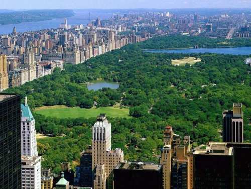 Central Park, naturaleza en Nueva York. Los que vivimos en grandes ciudades 