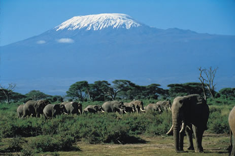 Parque Amboseli