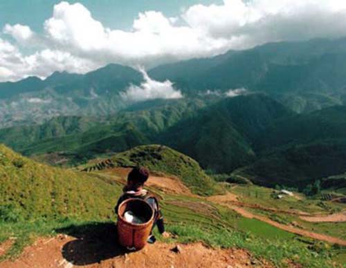 sapa 2