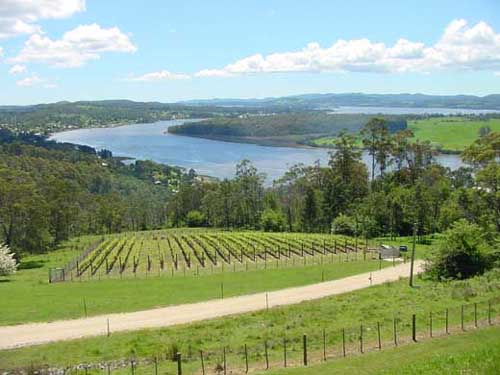 valle tamar