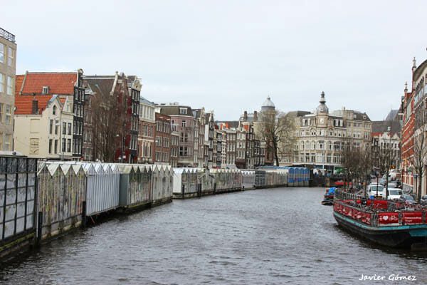 Información turística de Ámsterdam - Mercado de Flores