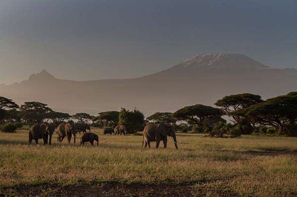 Turismo en Nairobi