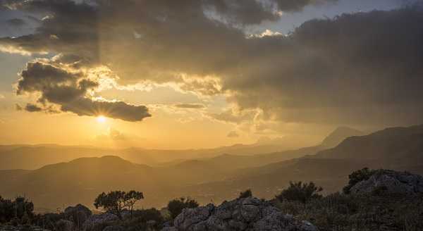 Mejores sitios de Andalucía para avistar animales