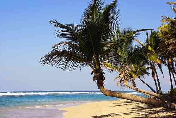 Qué hacer en Playa Bávaro en Punta Cana