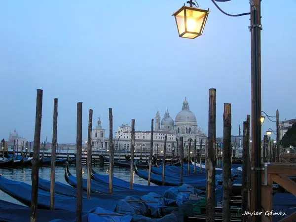 Venecia
