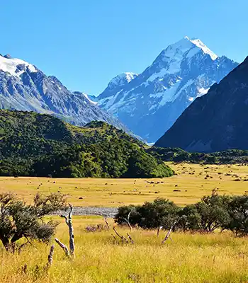 Nueva Zelanda