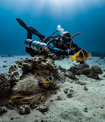 Snorkel