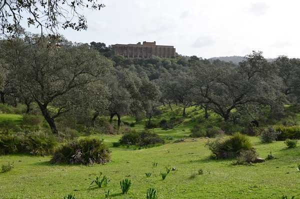 Sendero de las ruinas de Mulva o Munigua