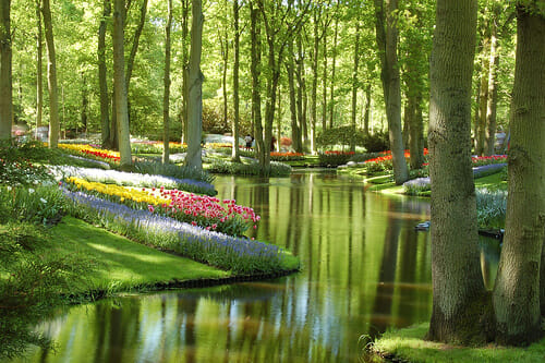 Entradas Parque Keukenhof