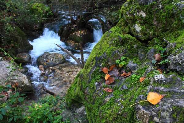 Sendero del rio Majaceite