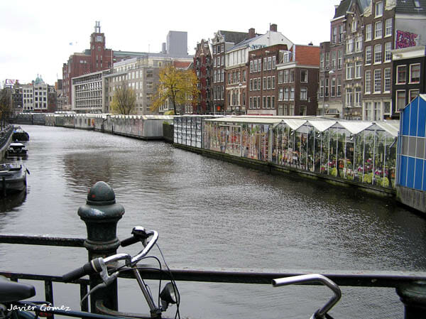 Mercado de flores en Amsterdam