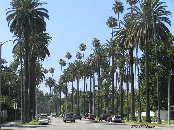 Guía de turismo de Los Ángeles