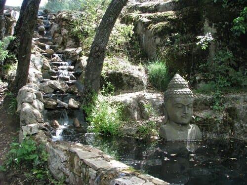 Bosque encantado en San Martín de Valdeiglesias