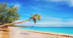 Caribe