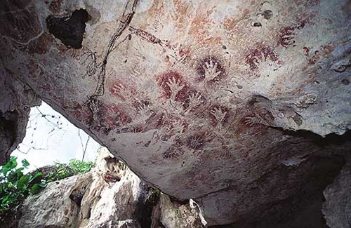 Bosque y mar de roca