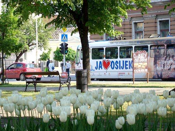 Osijek tranvía