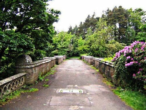 Puente de los perros suicidas