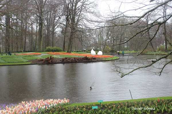 Parque Keukenhof