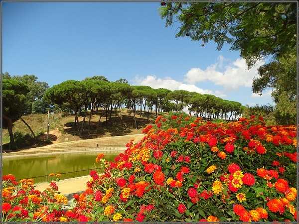 El parque Moret, pulmón verde de Huelva