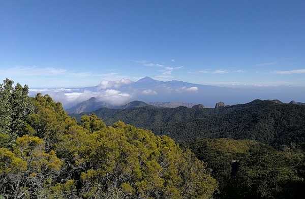 Parque de Garajonay en La Gomera