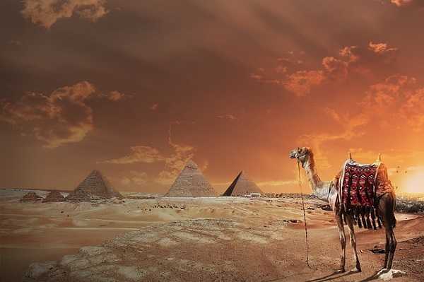 Guías de viaje 3 Guías de turismo de África