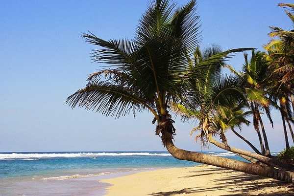 Viaje a Punta Cana, guía de turismo