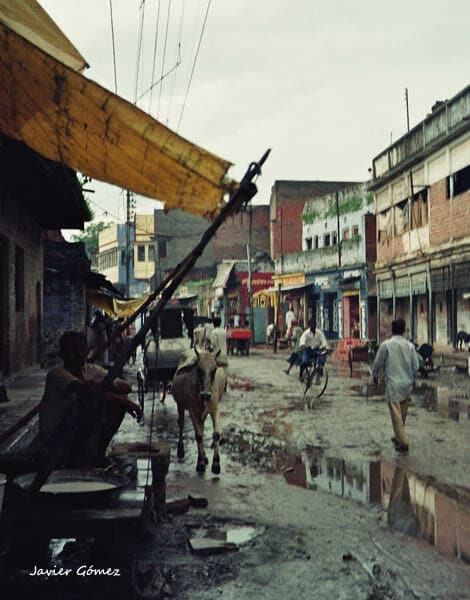 Por las calles de Benarés