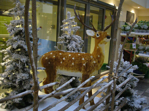 Reno en Navidad noruega