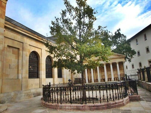Roble de Gernika