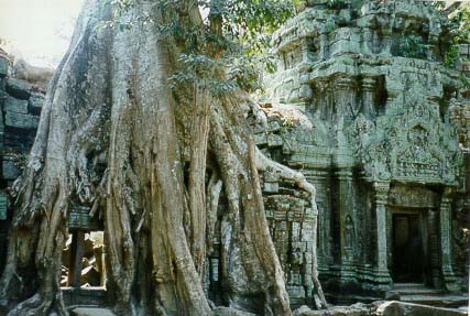 angkor