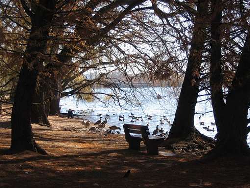 emmarentia-dam