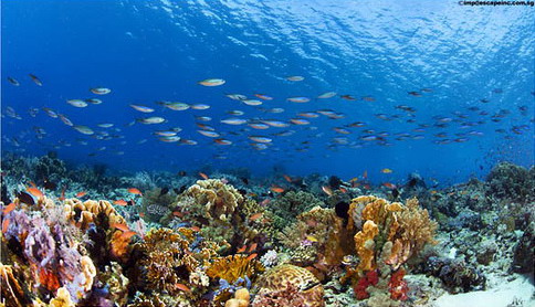 Parque Nacional de Komodo Parque Nacional de Komodo