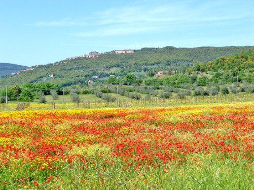 Parque della Maremma, en Toscana 2 Parque della Maremma