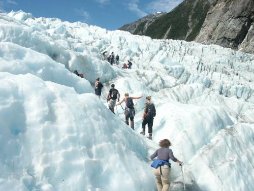 mn franz josef glacier