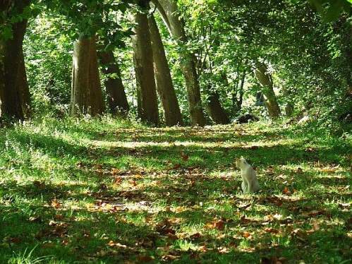 Parque del Montnegre