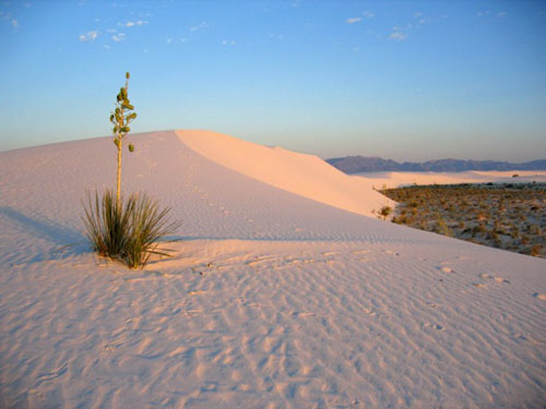 monumento-nacional-white_sands