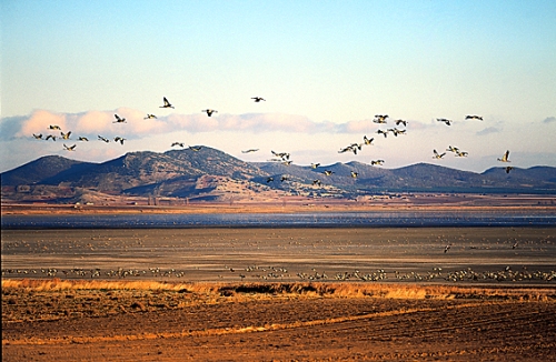 La laguna de Gallocanta