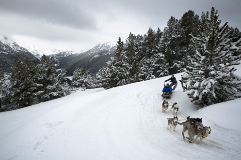 perros-y-trineos Carrera de trineos en Andorra