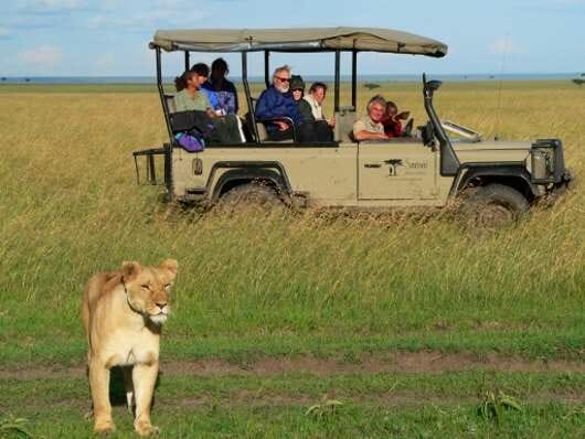 safari-en-africa