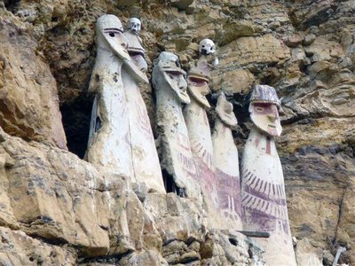 sarcokarajia-13.jpg