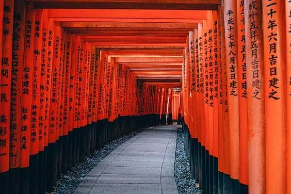 torii arcos rojos en fushimi inari taisha