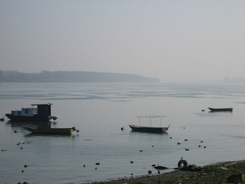 zemun danubio